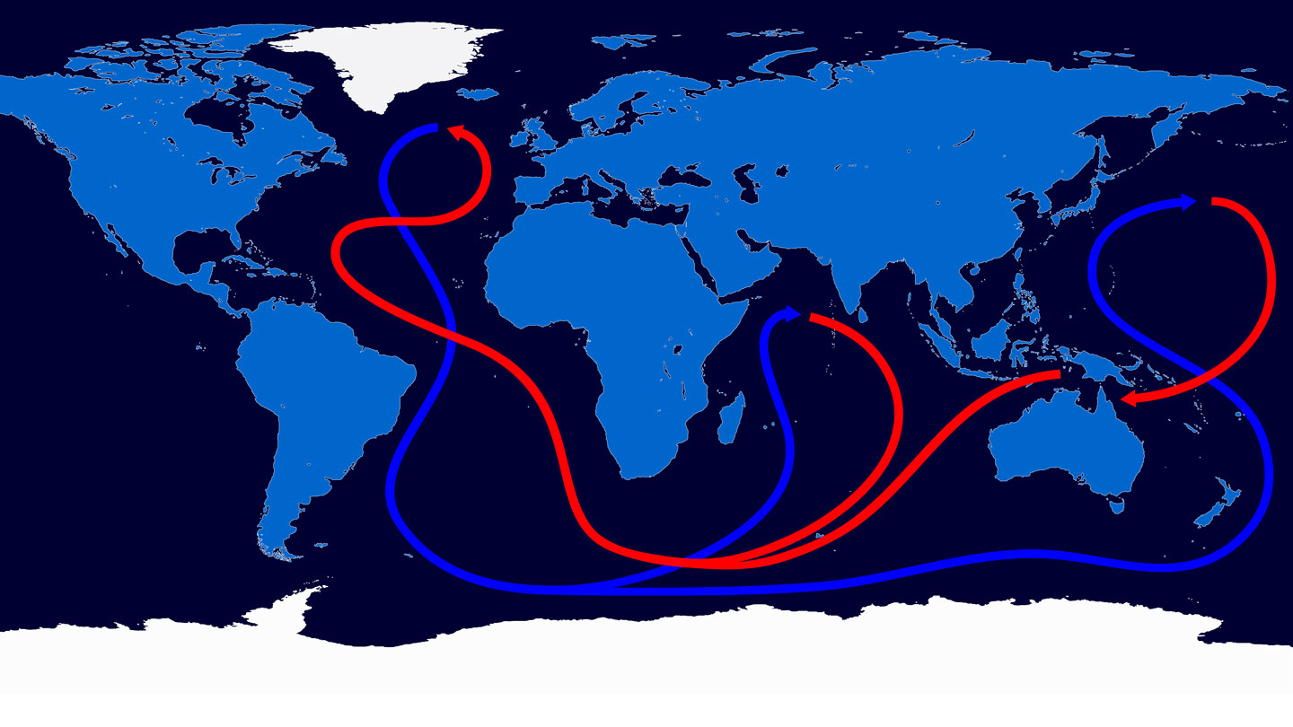 A map diagram showing the global ocean conveyor belt, a system of ocean currents.